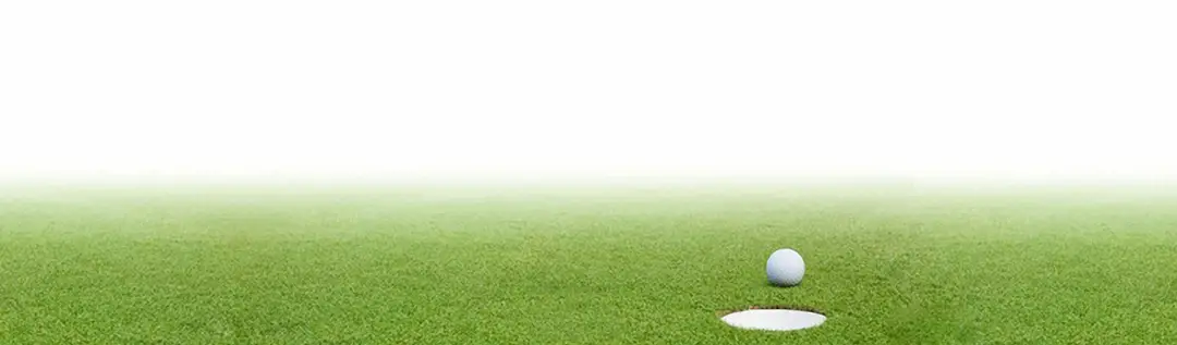 Torkos Brothers Inc / TNT Golf
