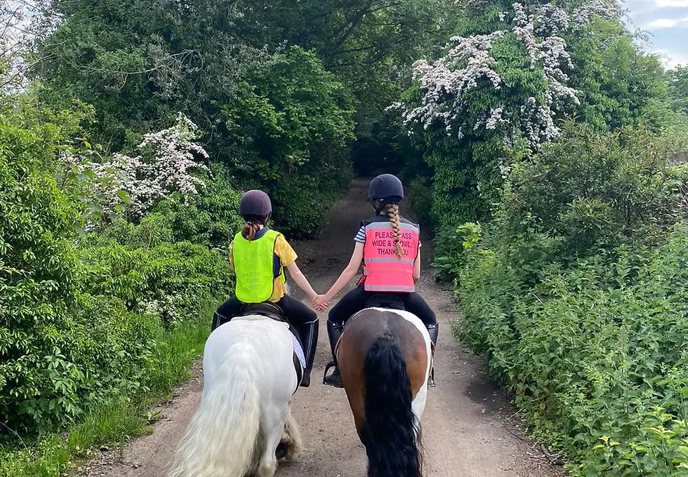 Danecroft Stables