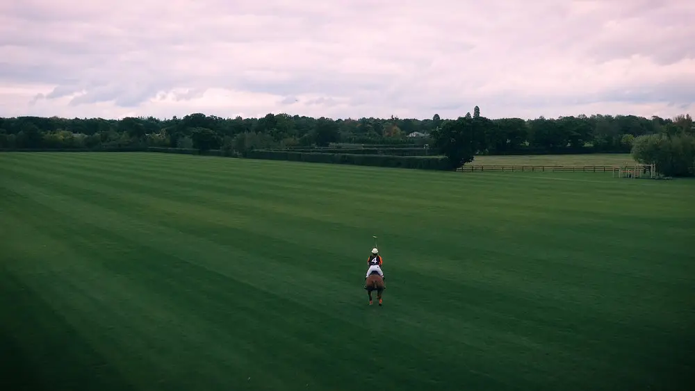 Emsworth Polo Grounds