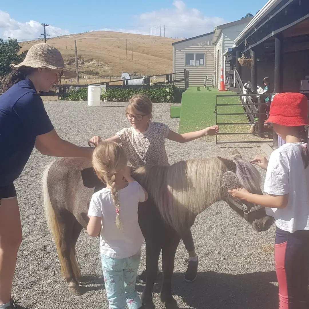 Motueka RDA