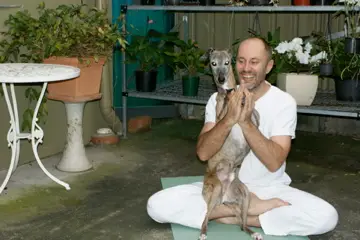 Yoga-dendrum