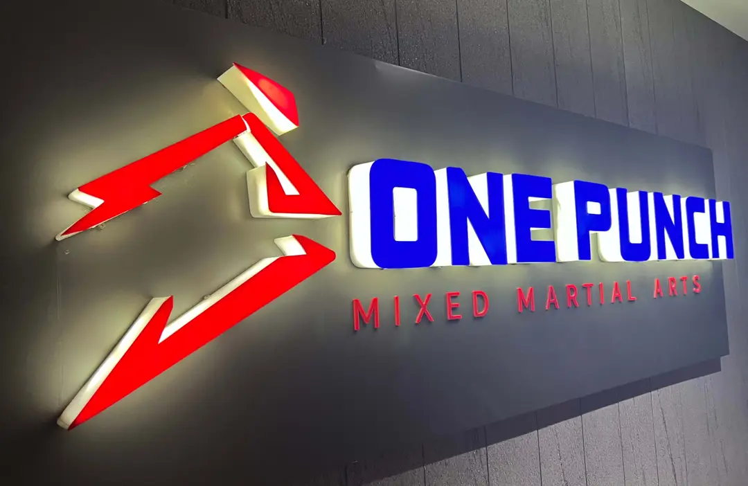 One Punch MMA