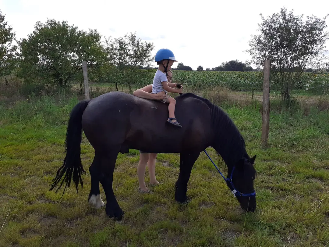 Landes Equicie