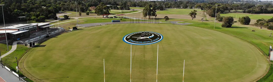 Frankston Districts Tigersharks