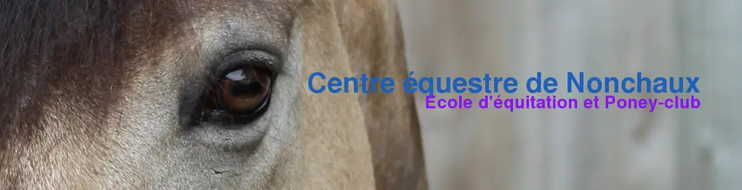 Centre Equestre