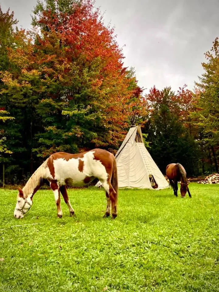 Ranch Au gr du vent