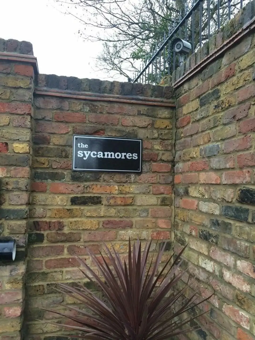 The Sycamores Swim School