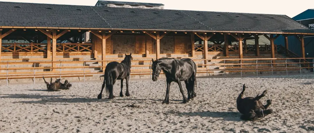 Nestville Horses