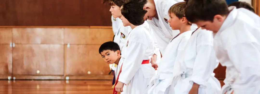 Shotokan Karate Hawkes Bay