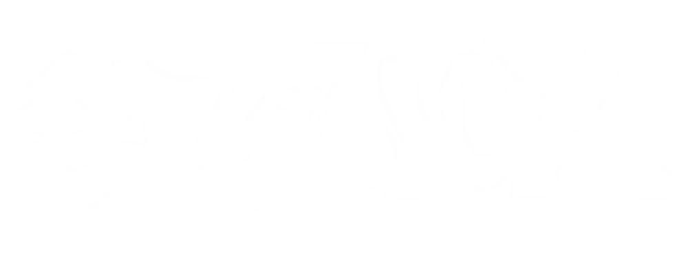 Studio X Bray