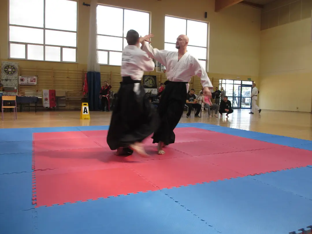 Akademia Aikido w Anglii