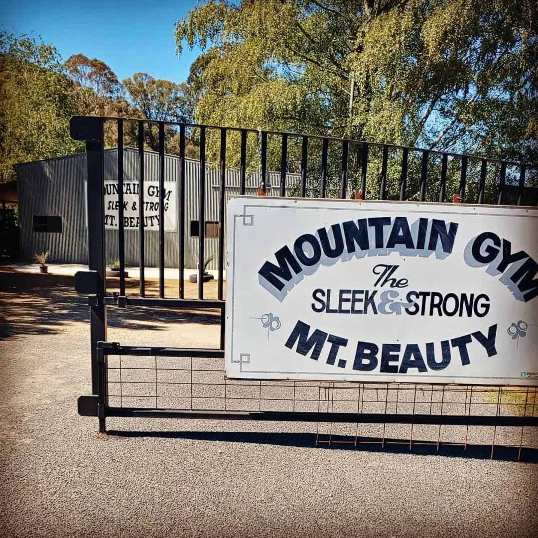Mountain Gym Fitness + Massage