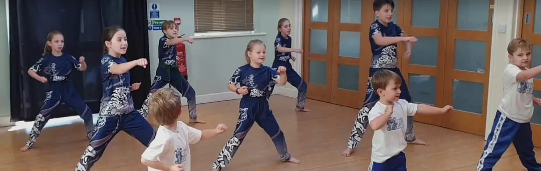 White Tiger Martial Arts and Fitness