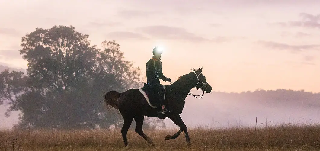 Nicker and Whinny Endurance Riding