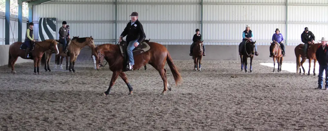 Roseneath Performance Horses