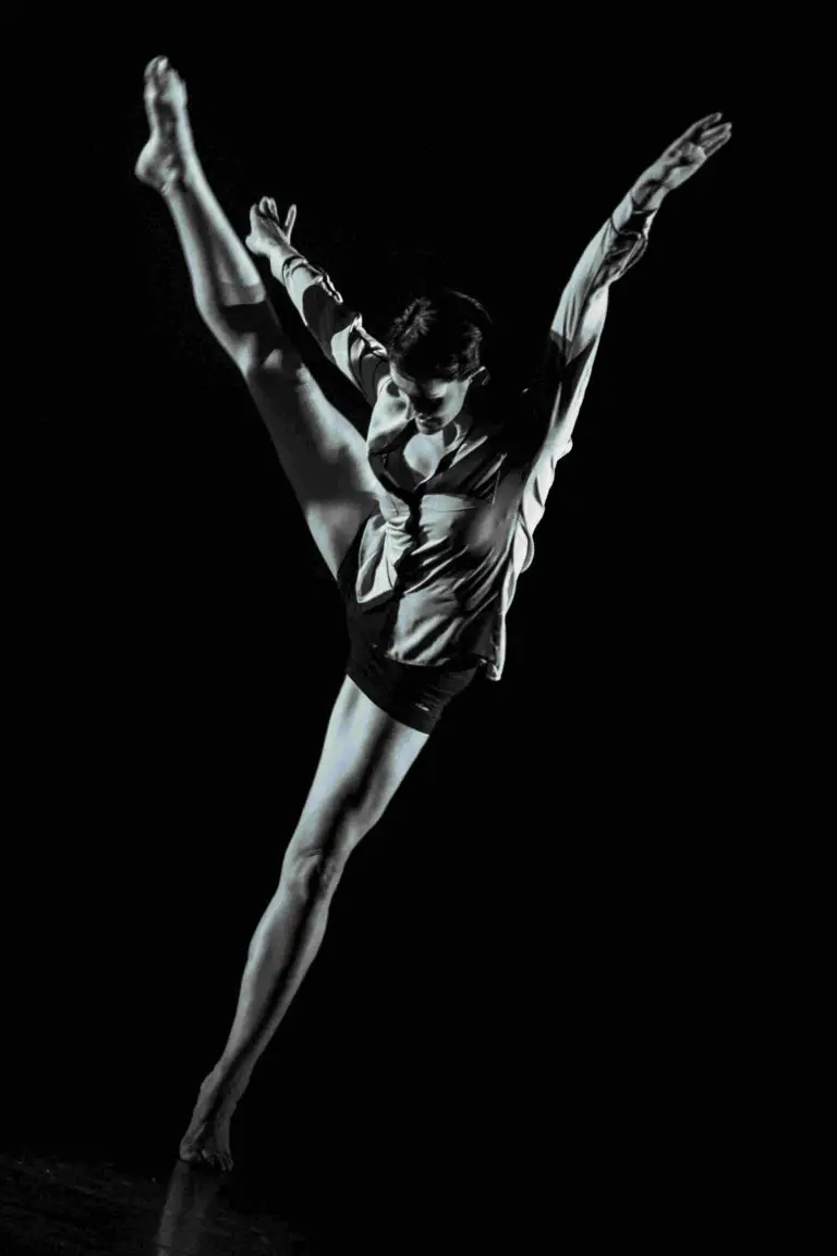 Pro Vie Danse