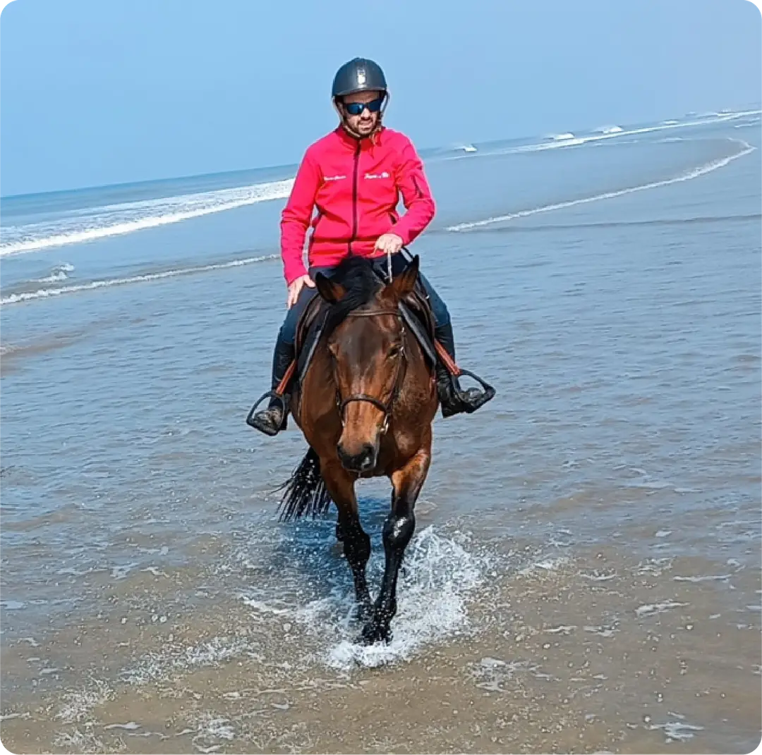 Horse Club Havre De Vie