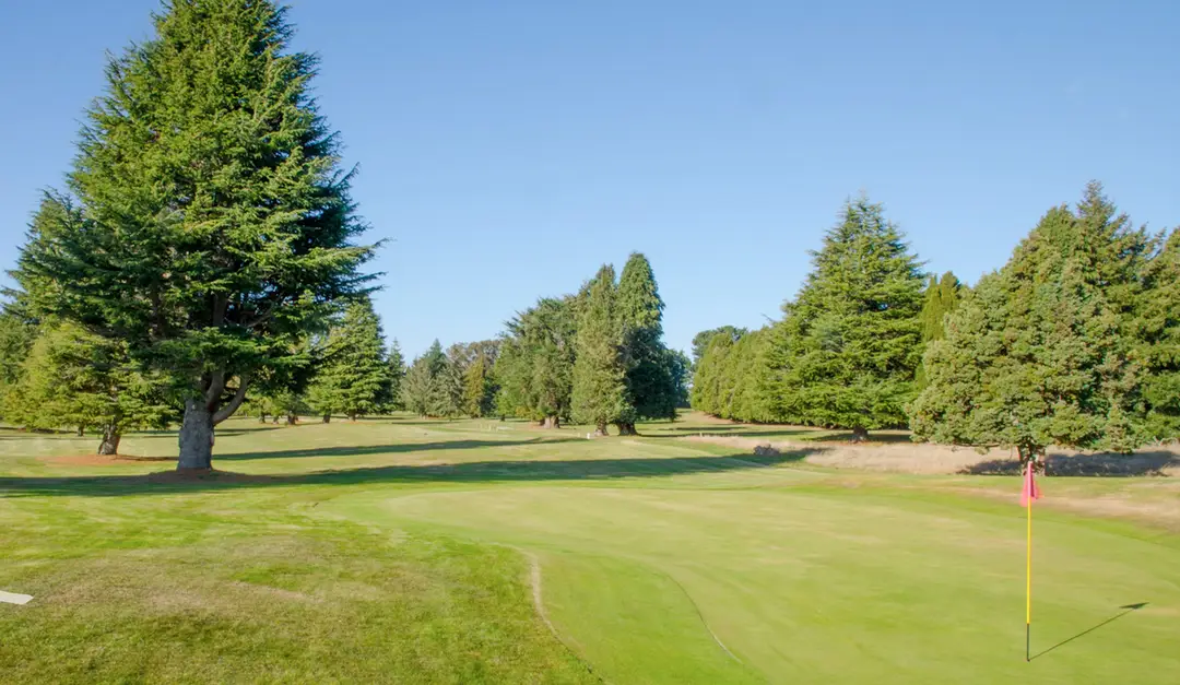 Ruapehu Golf