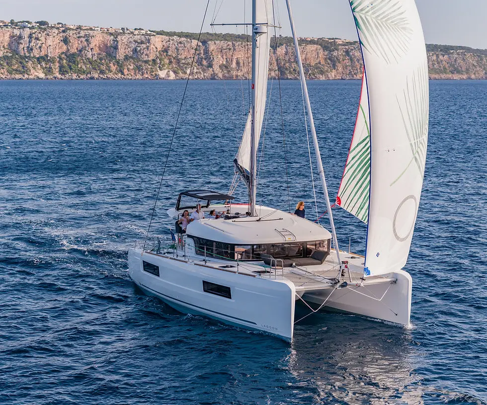 School Of Cruise Catamaran Sea Rider