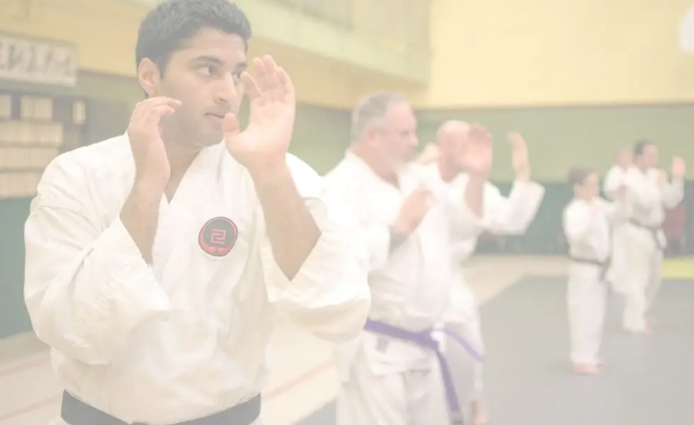 Shugy Karate Dj