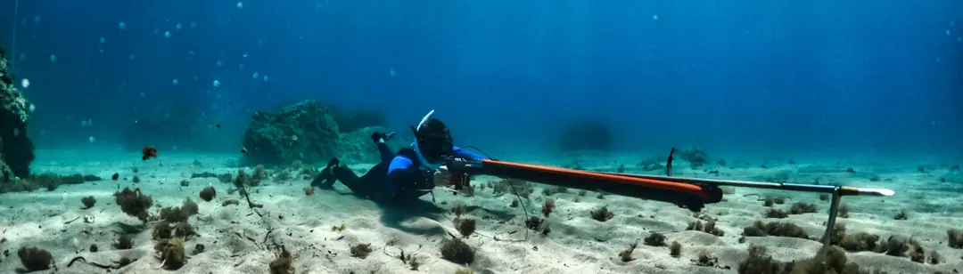 Vitamin Sea Diving