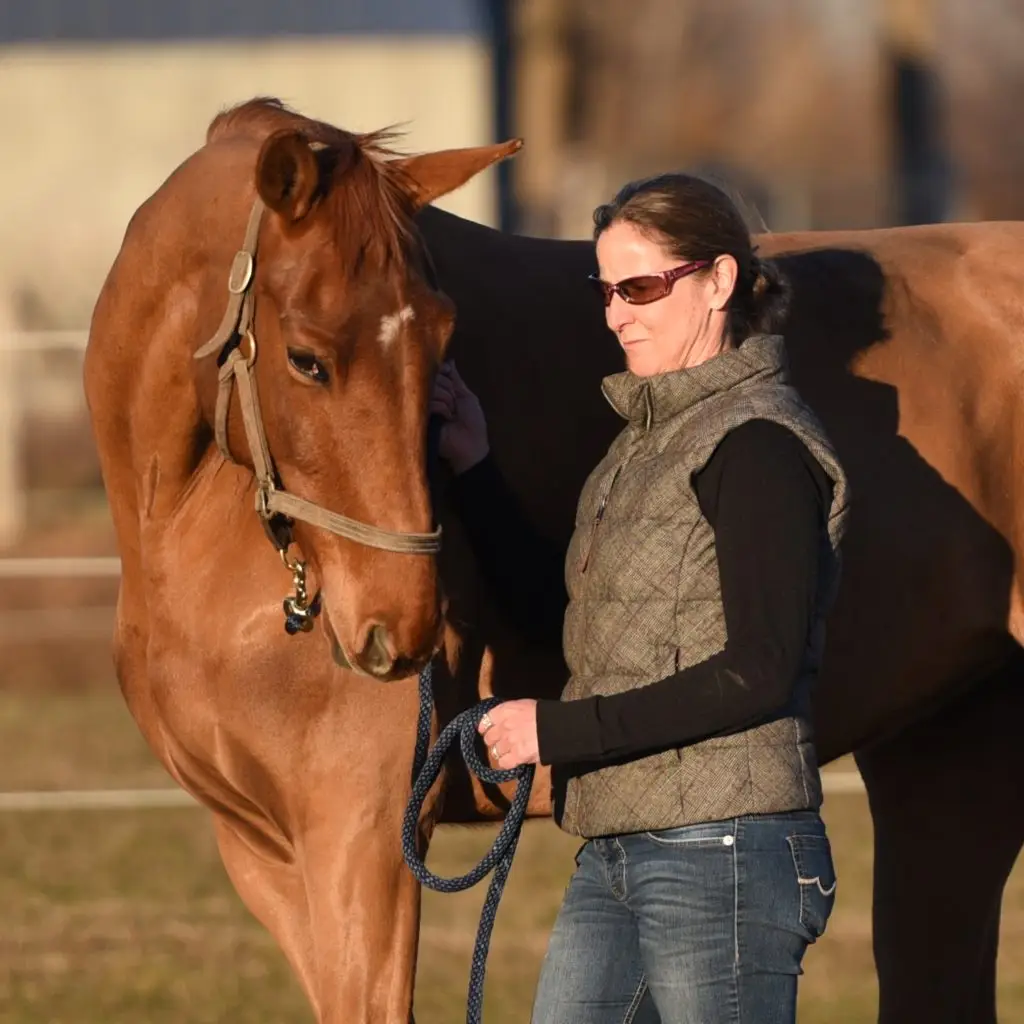 Unbridled Coaching