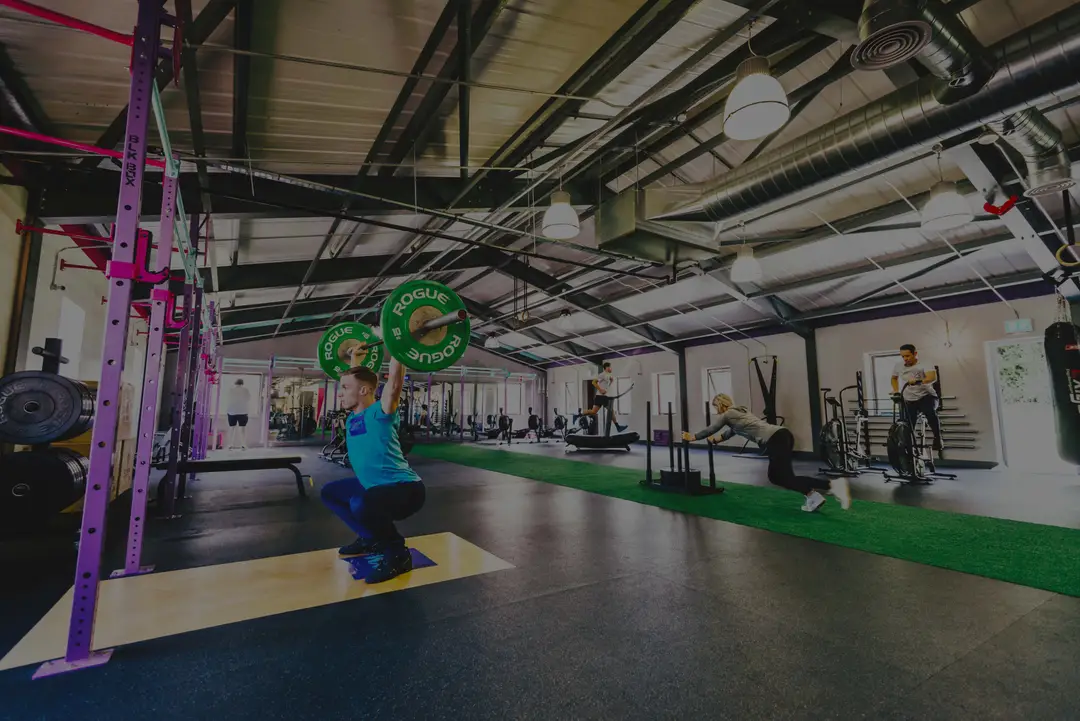 The Gym Project