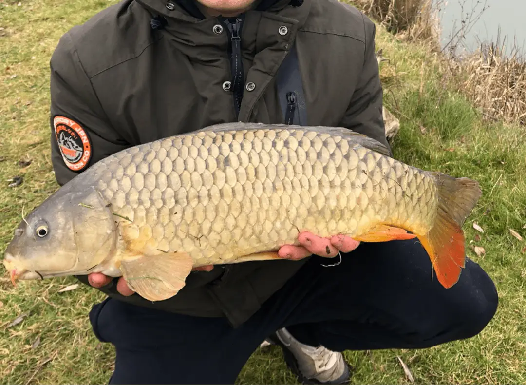The Flavell Fishery