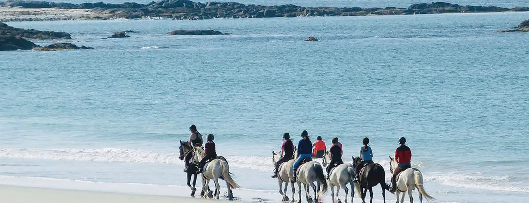 The Point Pony Trekking & Horse Riding Centre