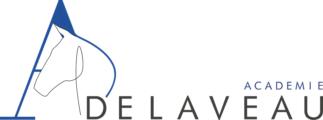 Academie Delaveau