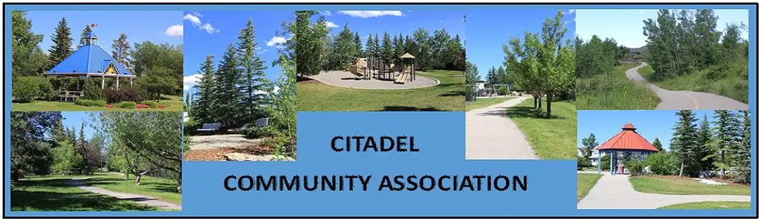 Citadel Outdoor Rink