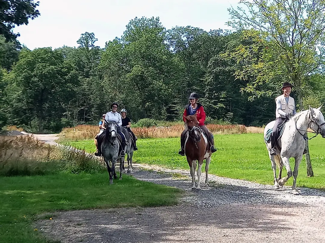 FERME EQUESTRE DES TERTRES
