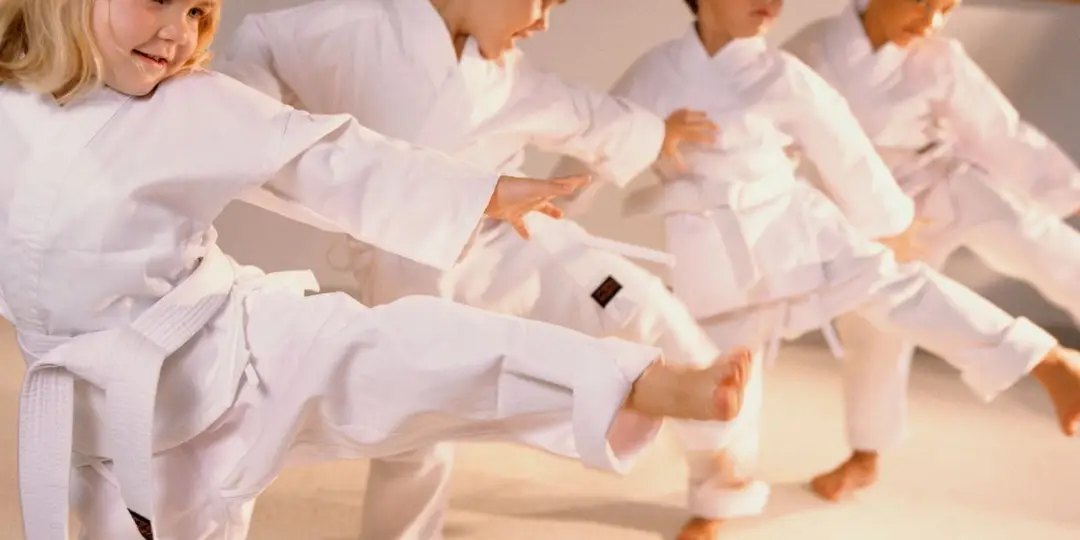 Karate Training School