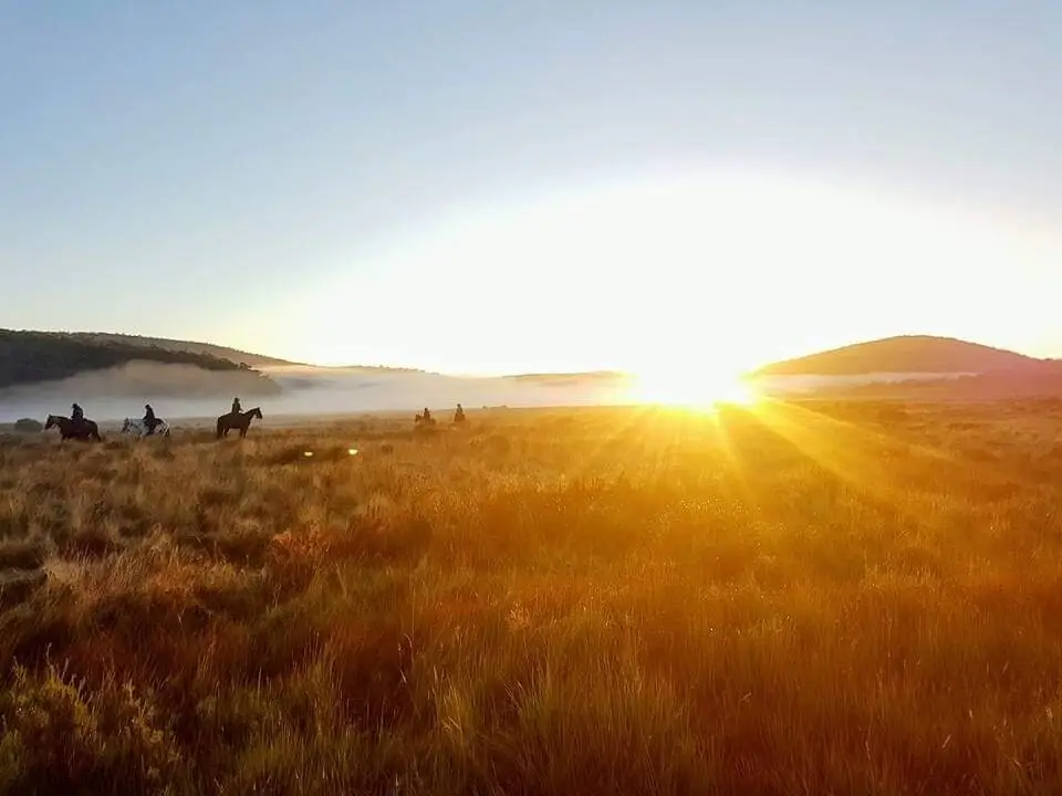 Cochran Horse Treks