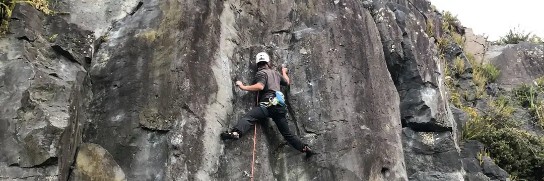 Maungarei Springs (Stonefields) Crag