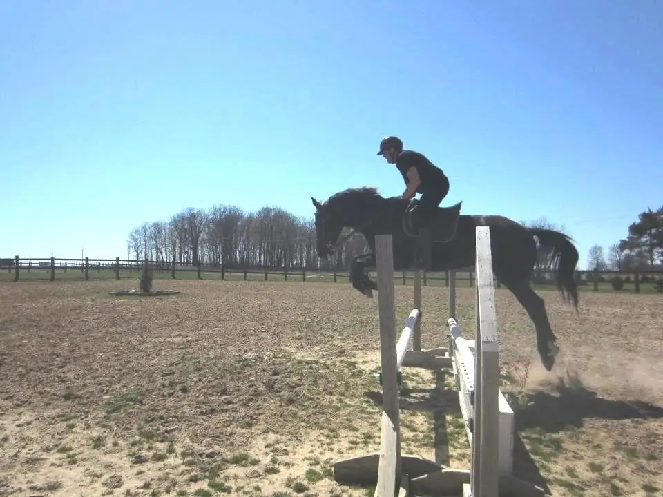 Hse Stables