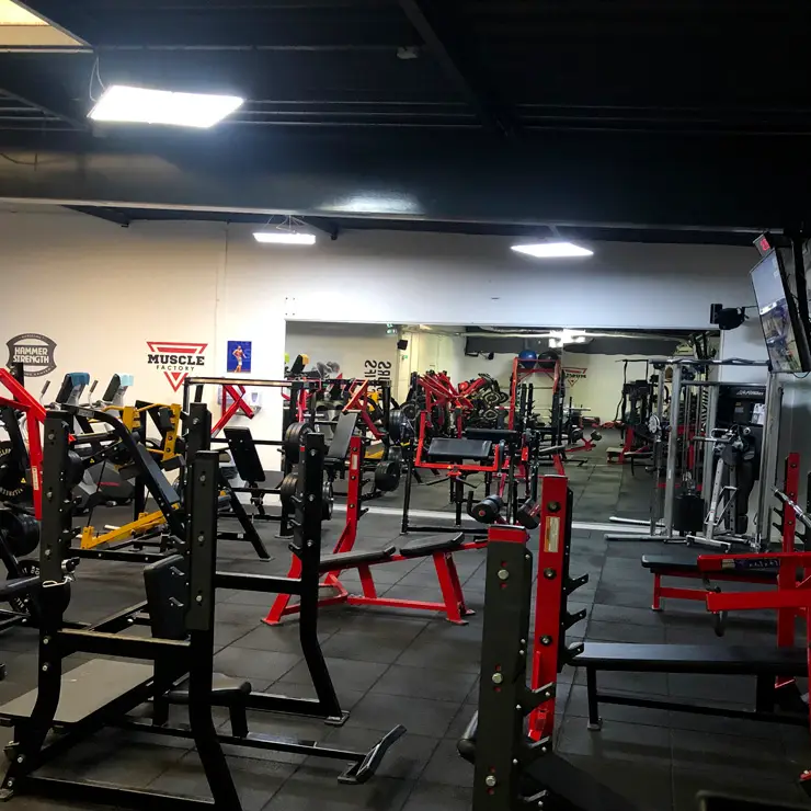 Muscle Factory