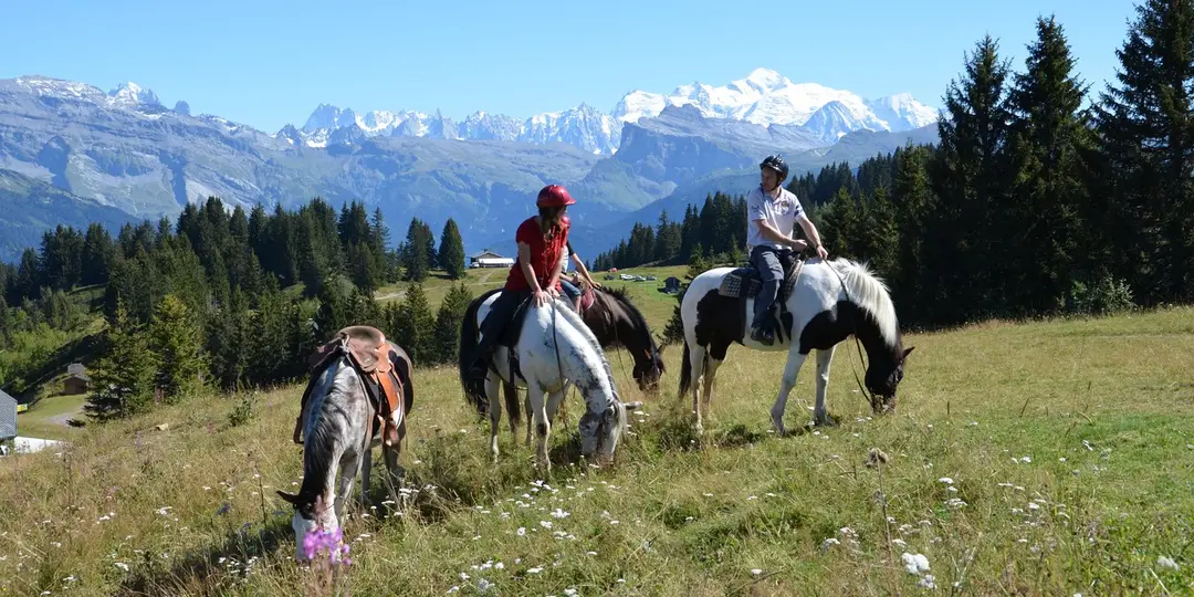 Ranch des portes du soleil