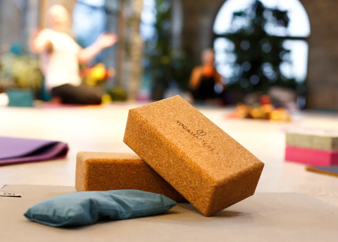 The Yoga Process