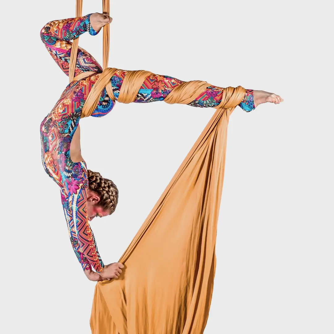 Trellis Arts