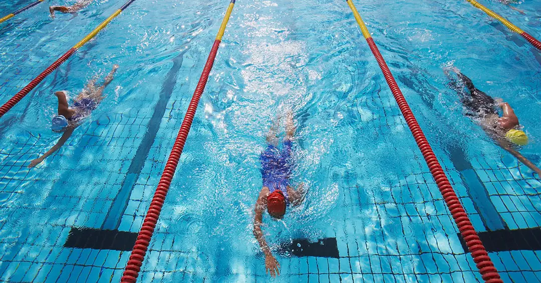 Brighton Dolphin Swimming Club