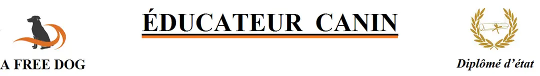 A FREE DOG educateur canin comportementaliste canin