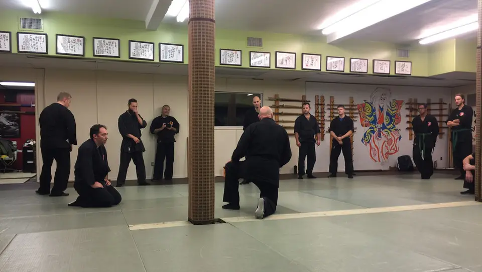 Ninjutsu Training Centres of Central Canada