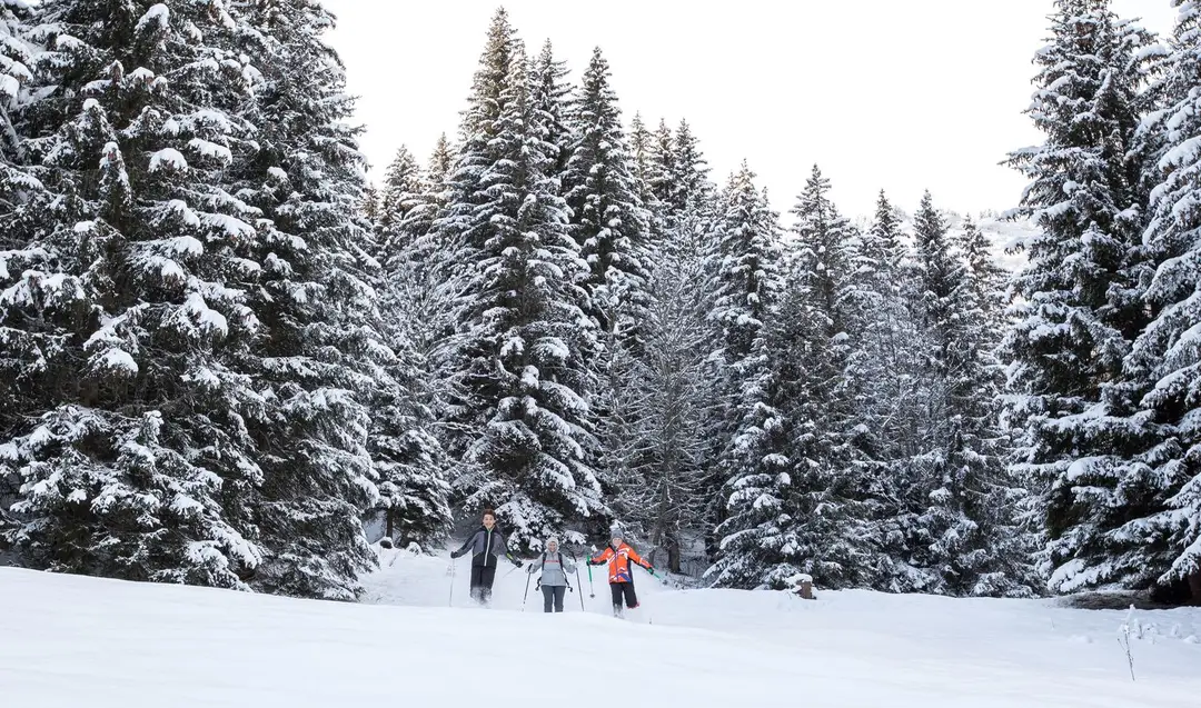 Esf Les Houches