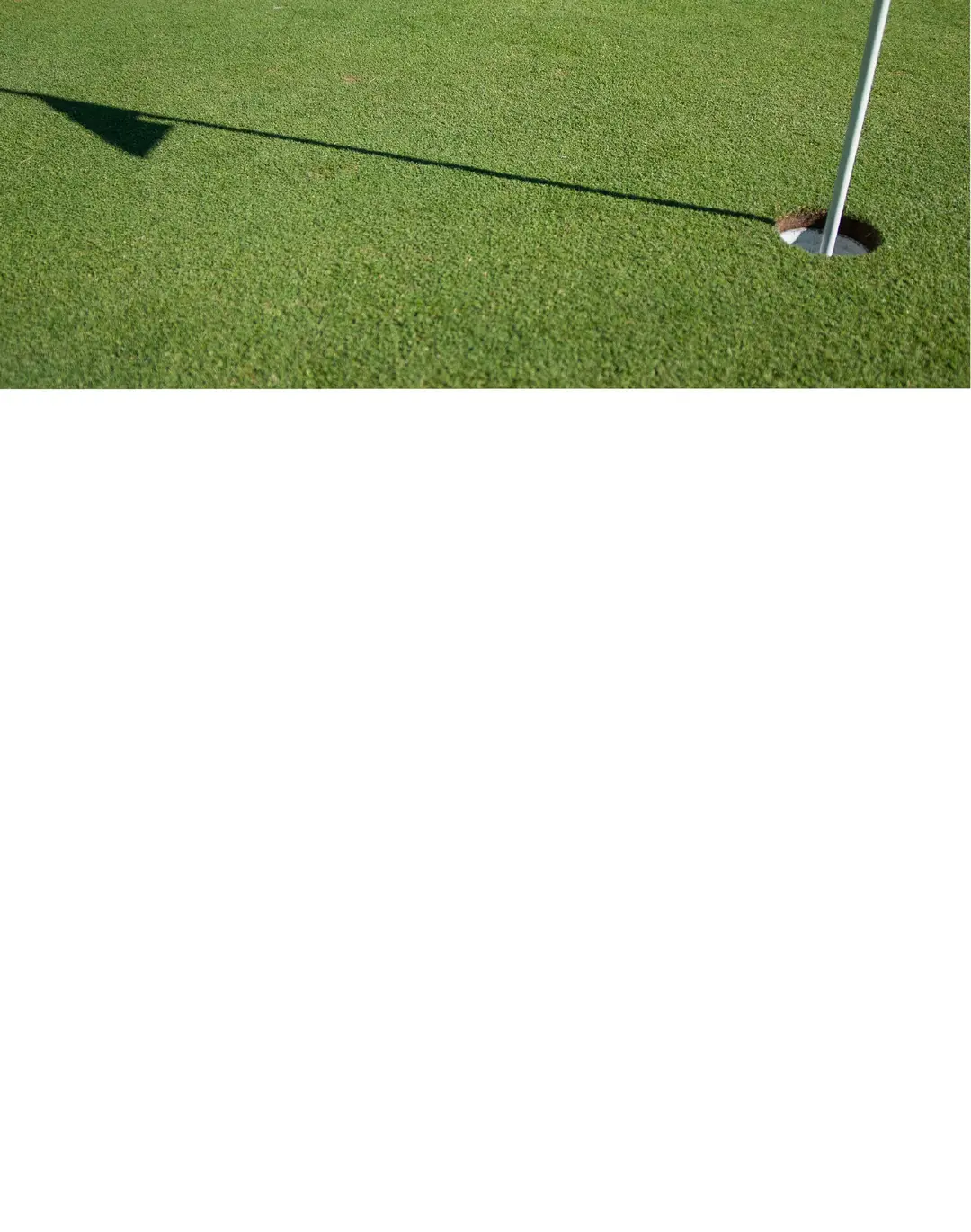 Shani Waugh Golf School