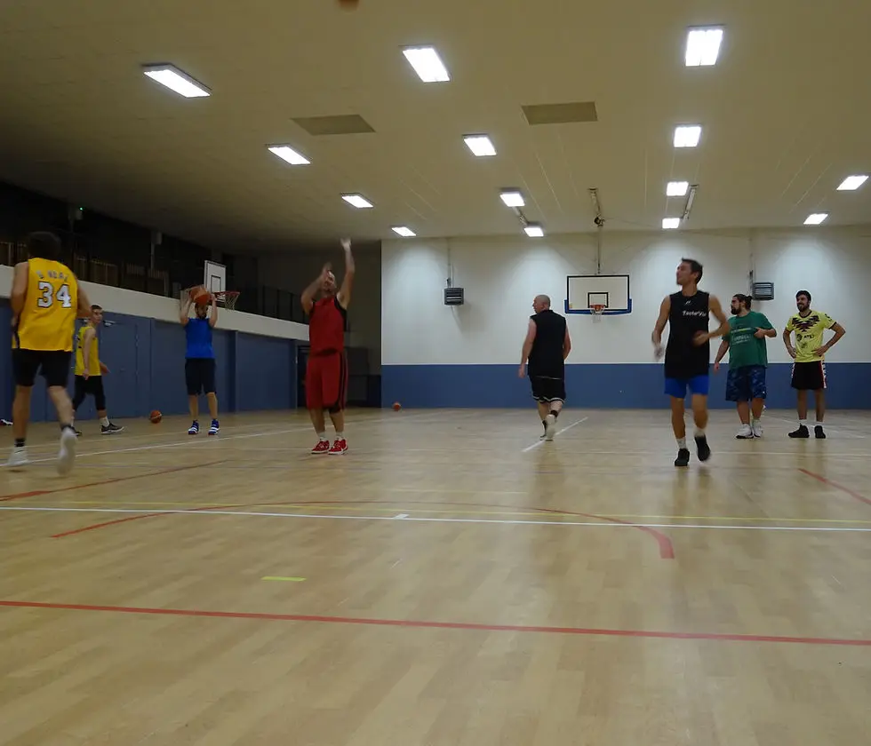 ALSN Basket