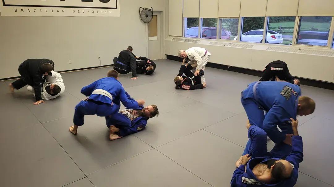 Lopes Brazilian Jiu-Jitsu