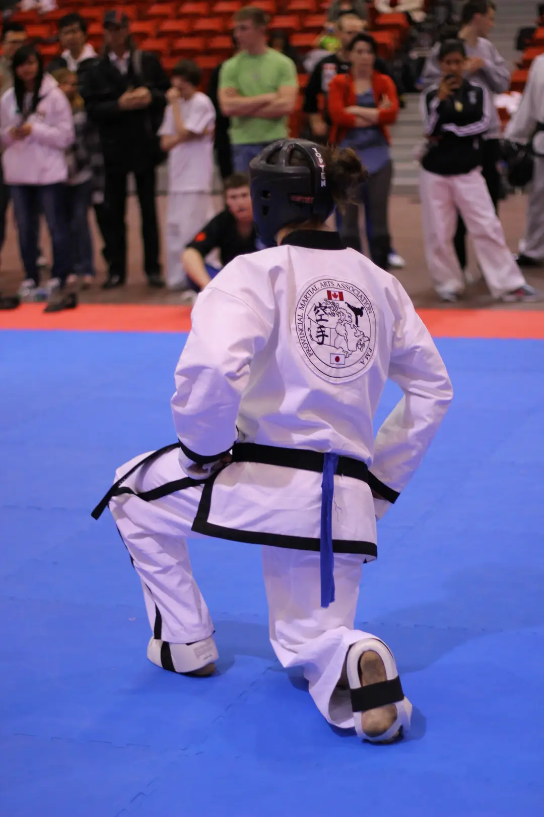 Provincial Martial Arts - Glamorgan