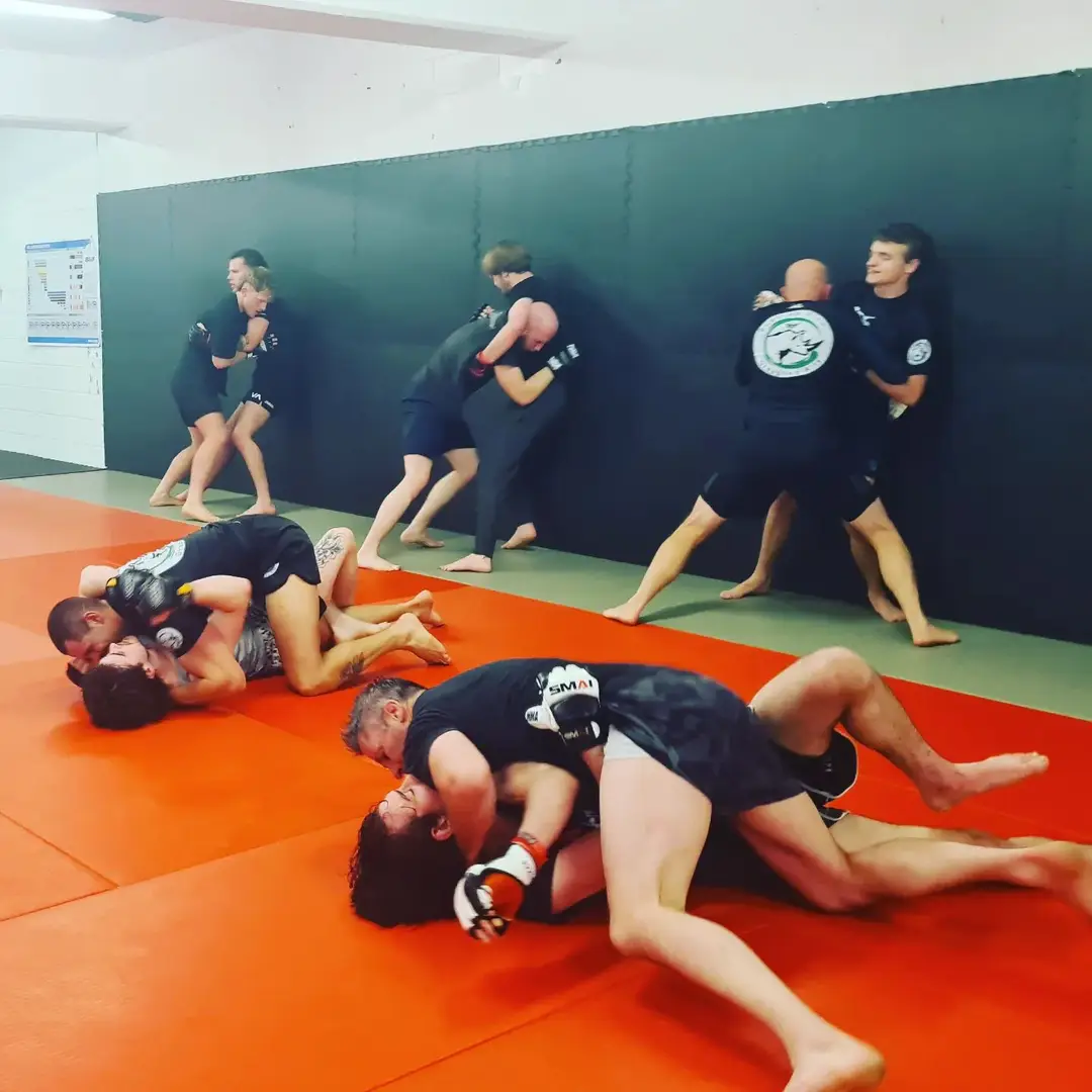 Bushido Flow Grappling Arts