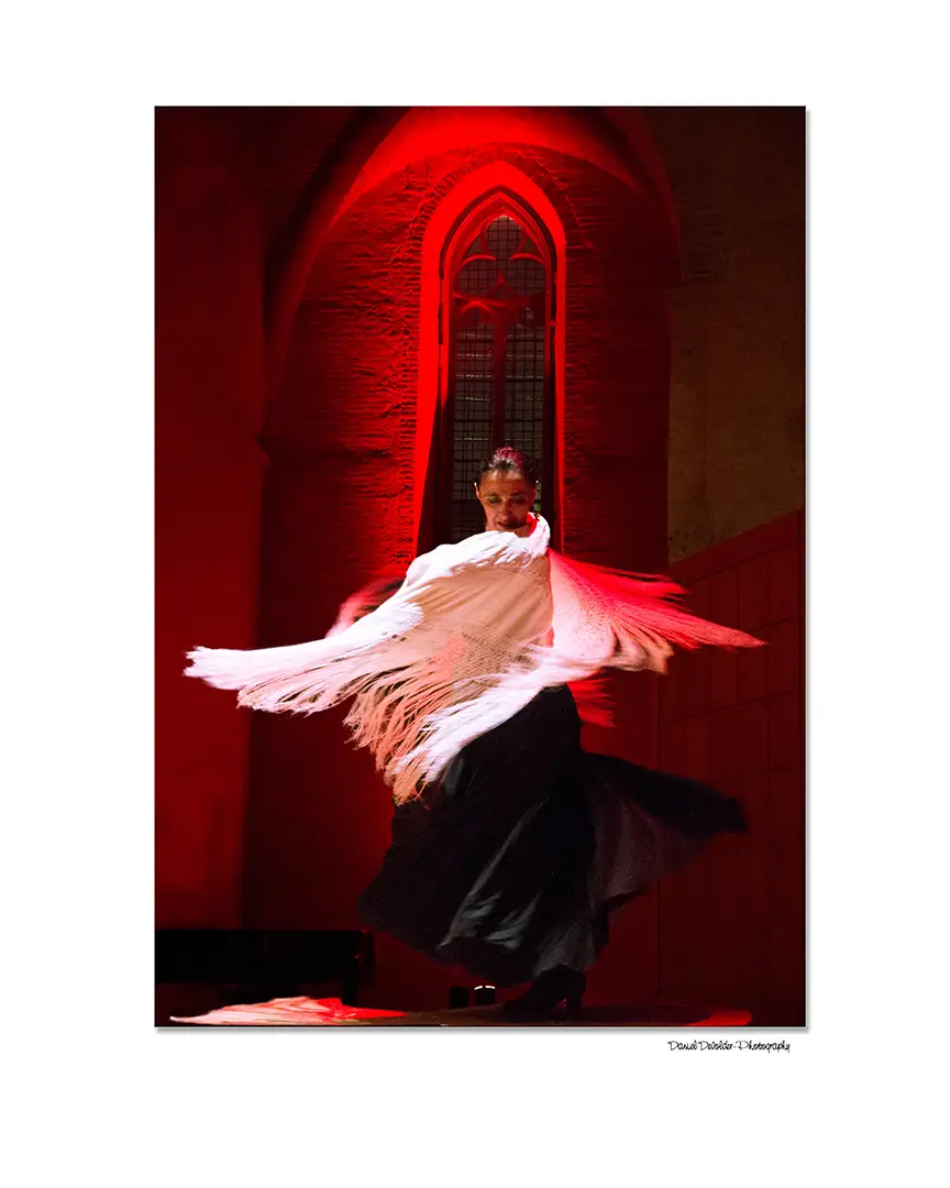 Espaces Flamenco Art&Danse